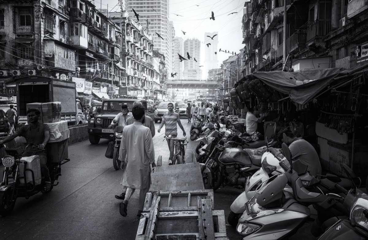 Soaring Crows Amidst the Hustle of Mumbai Street
